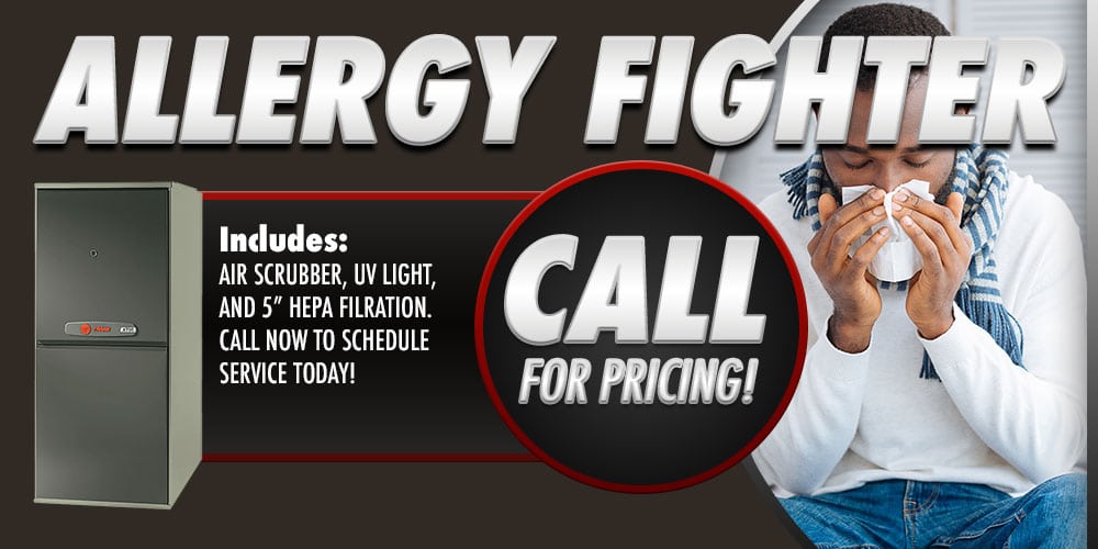 allergy fighter