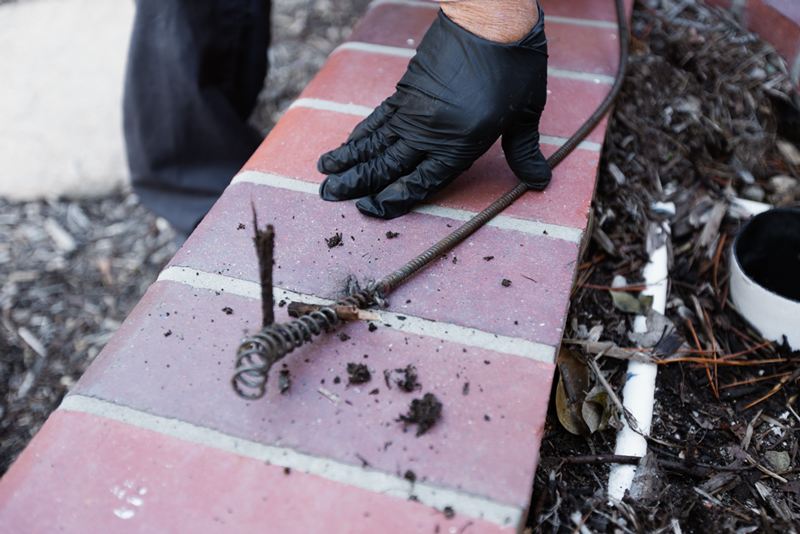 Tree root removal Removing tree roots